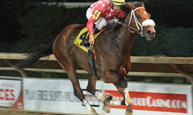 Great Spirit looks to stretch out in Bishop