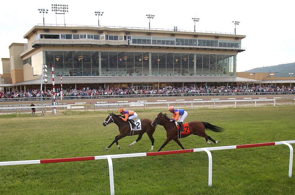 Dozen to contest G3 Penn Mile