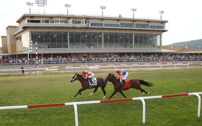 Major Dude with major move to win Penn Mile