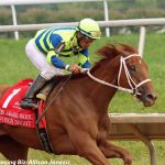 Luna Belle training towards return to action