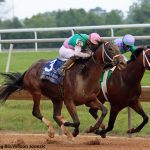 Delaware Park: Mike’s year-end awards