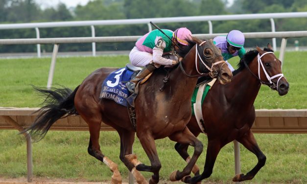 Idiomatic prevails in Delaware Handicap thriller