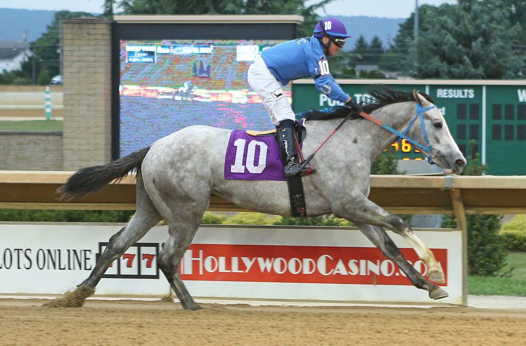 CT: Powered by Love favored in Mercer Memorial
