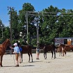 Colonial Downs cancels Friday card
