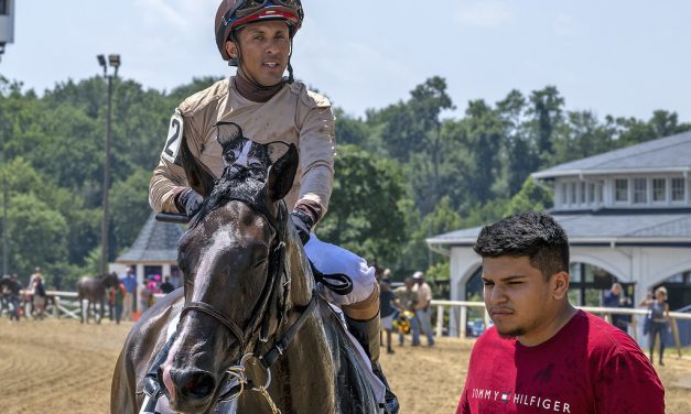 Plan ahead and plenty of water: riders, trainers beat the heat