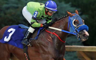 CT: Stryda’s win in Autumn Stakes will leave a mark