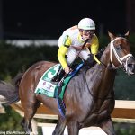 The Grey Wizard hopes to conjure up Cape Henlopen win