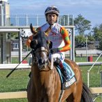 Timonium race meet set for Friday kickoff