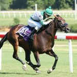 “What everybody dreams of”: Maryland farms hit Saratoga sale