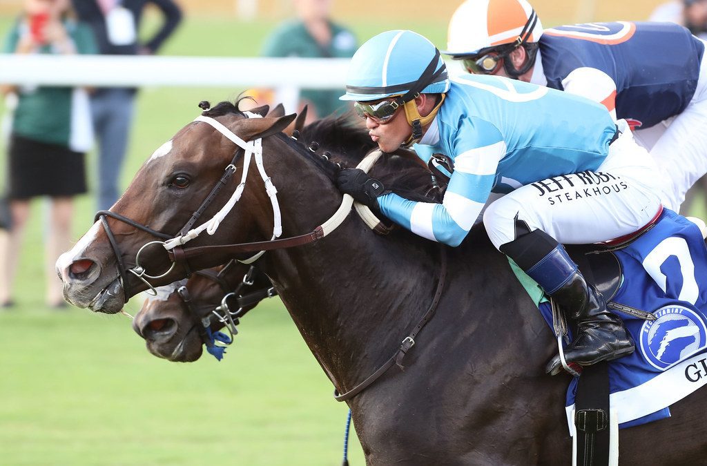 Gigante carries on Backer breeding legacy