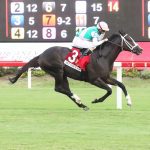 Circling the Drain seeks first stakes win in Bald Eagle