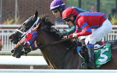 No looking back for chef-turned-jockey Gavin Ashton