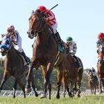 Highestdistinction looks for hat trick in G3 BWI Turf Cup