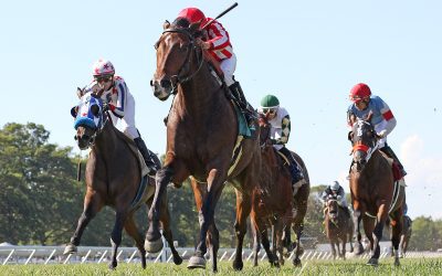 Highestdistinction looks for hat trick in G3 BWI Turf Cup