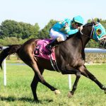 Aged Cross Border still in form in Cape Henlopen win