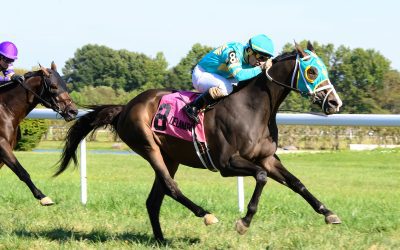 Aged Cross Border still in form in Cape Henlopen win