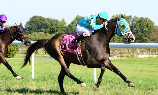 Aged Cross Border still in form in Cape Henlopen win