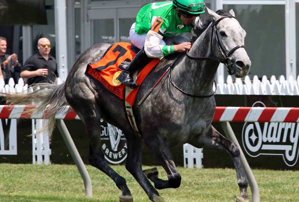Roses for Debra hoping to be a turf monster at Parx