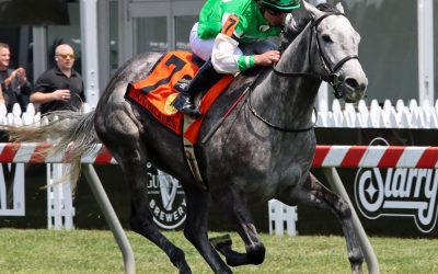 Roses for Debra hoping to be a turf monster at Parx