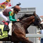 National wagering handle down sharply in April