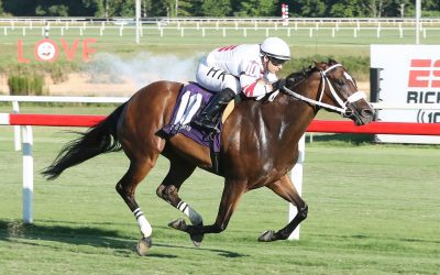 Chambeau, Determined Kingdom star in Colonial stakes