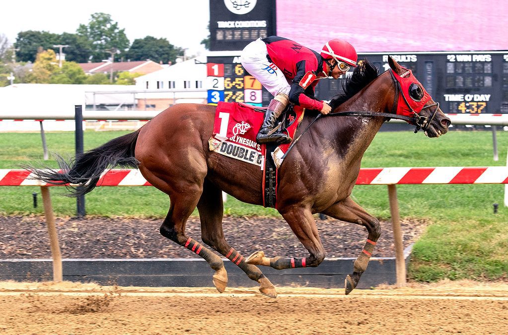 Double Crown, retired, “shows the good in racing”