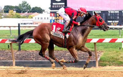 Double Crown, retired, “shows the good in racing”
