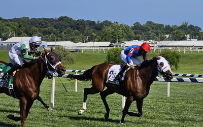 Delaware: Digging into Owners Day stakes