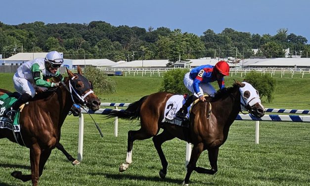 Delaware: Digging into Owners Day stakes