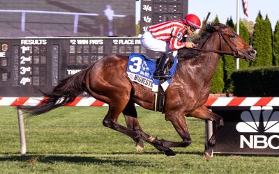 Highestdistinction sharp in G3 BWI Turf Cup win