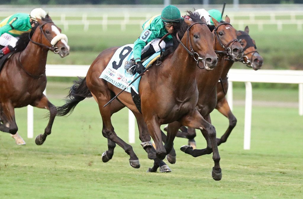 Integration puts it all together in Virginia Derby win