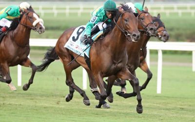 Integration puts it all together in Virginia Derby win