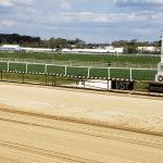 Track condition now part of Equine Injury Database