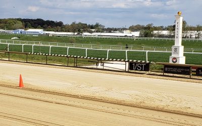 Track condition now part of Equine Injury Database