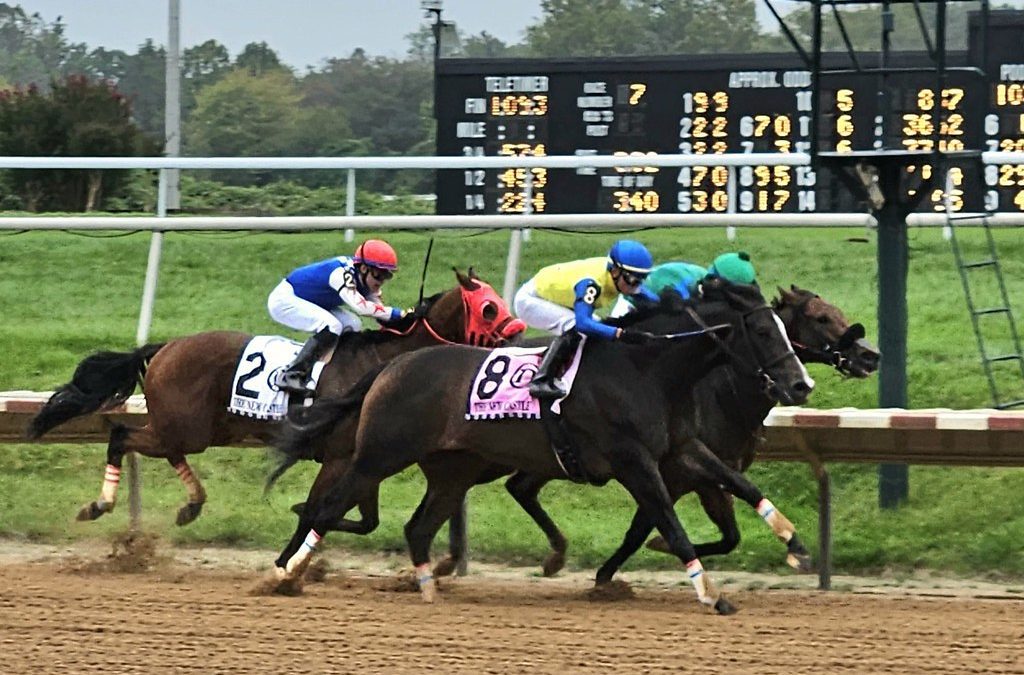 No Sabe Nada, Intrepid Daydream score in Del-certified races