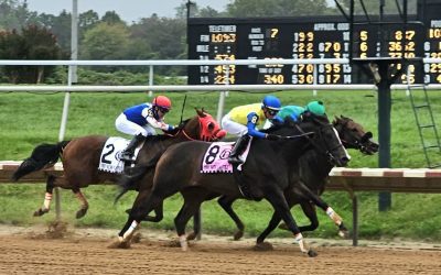 No Sabe Nada, Intrepid Daydream score in Del-certified races