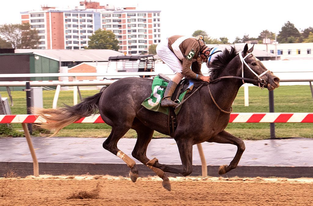 Return of Post Time highlights Laurel Park stakes
