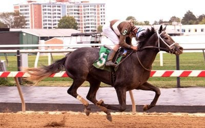 Post Time returns with a flourish
