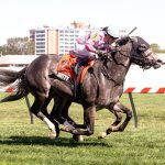 “What next” the lurking question for minor stakes winners