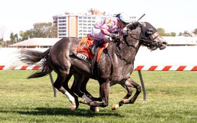 “What next” the lurking question for minor stakes winners