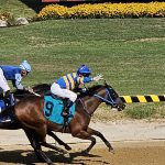 Chambeau, Determined Kingdom star in Colonial stakes