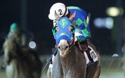 Coastal Mission named WV-bred Horse of the Year