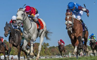 Laurel Park jockeys and trainers to watch