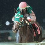 Stakes-placed 2yo added to Inglis Digital sale