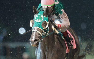 Charles Town: Direct the Cat a handful in Casey Memorial