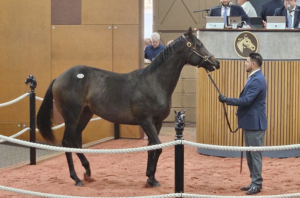 Maryland-breds carry the day at Fasig-Tipton yearling sale