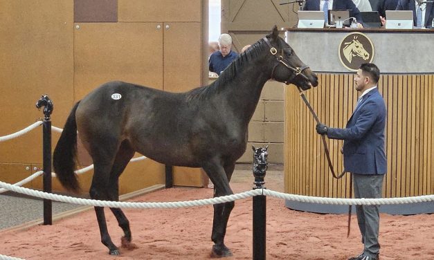 Maryland-breds carry the day at Fasig-Tipton yearling sale