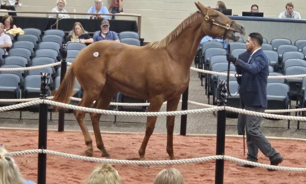 Nyquist colt tops Fasig-Tipton yearling sale
