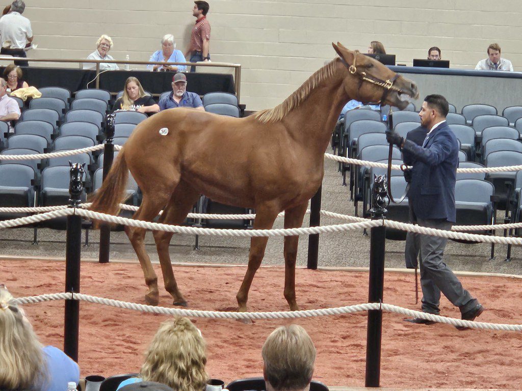 Fasig-Tipton