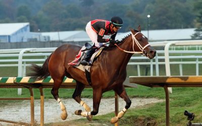 Jevian Toledo earns “Jockey of the Week” honors